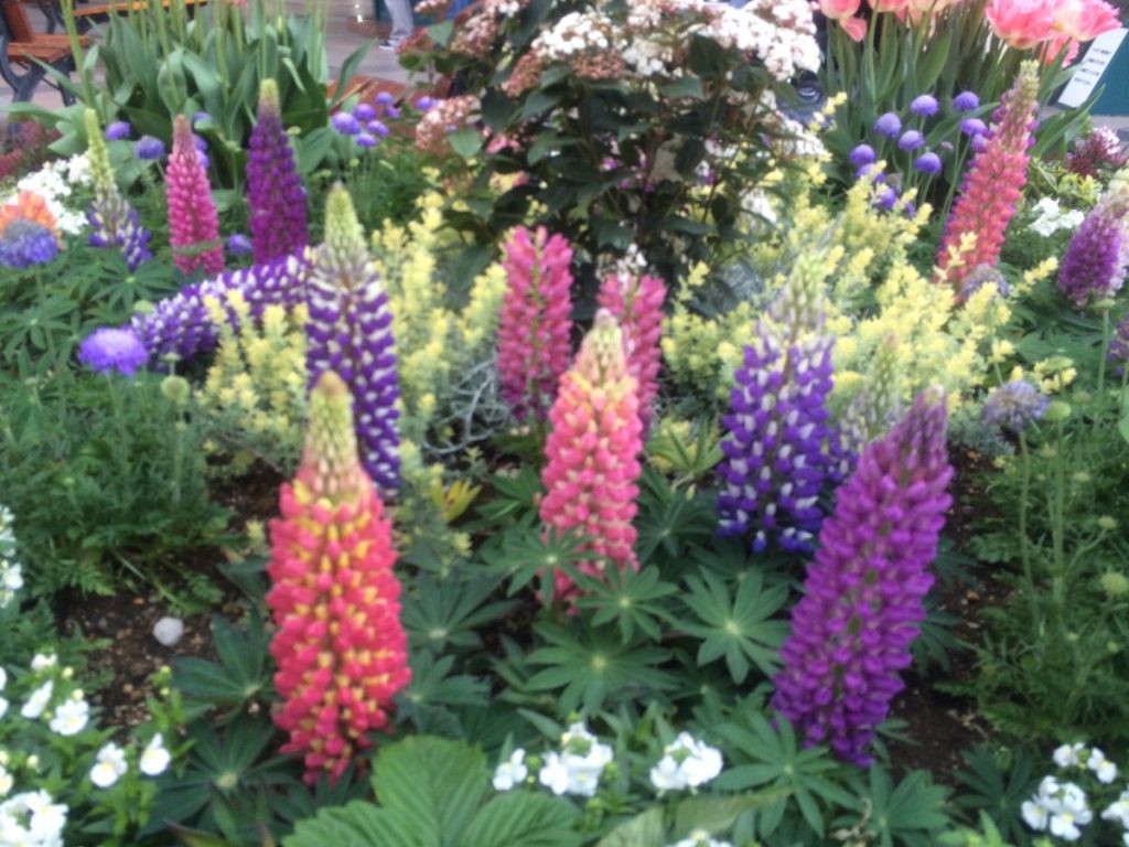 恵比寿ガーデンプレイス