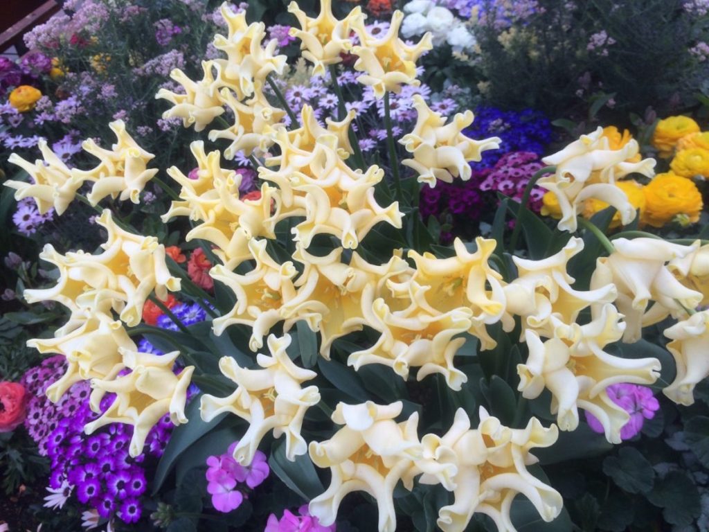 恵比寿ガーデンプレイス